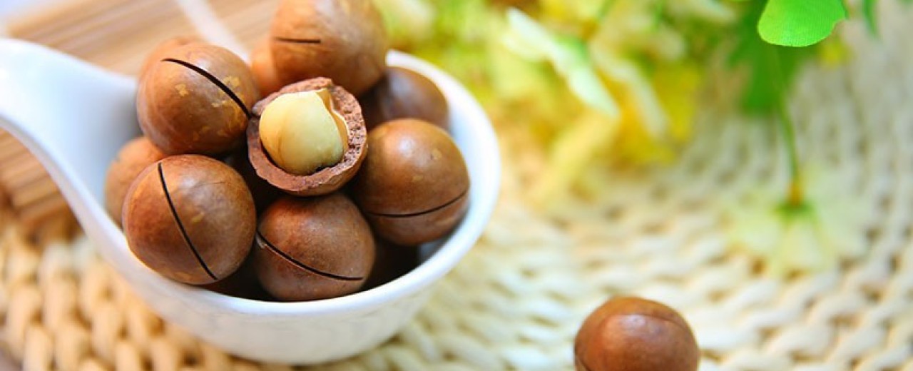Vet gezonde macadamia 